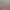 AI Generated Image 5