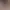 AI Generated Image 9