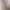AI Generated Image 7